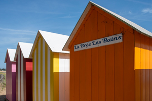 Traitement punaises de lit Le Chesnay-Rocquencourt